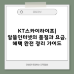 KT스카이라이프| 알뜰인터넷의 품질과 요금, 혜택 완전 정리 가이드