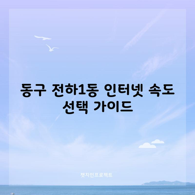 동구 전하1동 인터넷 속도 선택 가이드