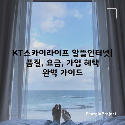 KT스카이라이프 알뜰인터넷 품질 오해, 싹 풀어드리겠습니다