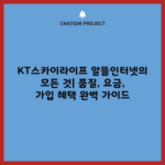 KT스카이라이프 알뜰인터넷의 모든 것| 품질, 요금, 가입 혜택 완벽 가이드