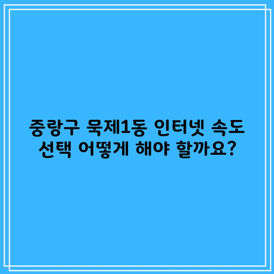 중랑구 묵제1동 인터넷 속도 선택 어떻게 해야 할까요?