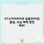 KT스카이라이프 알뜰인터넷| 품질, 요금 혜택 완전 해부!