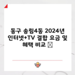 동구 송림4동 2024년 인터넷+TV 결합 요금 및 혜택 비교 🎊