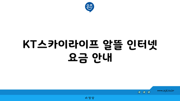 KT스카이라이프 알뜰 인터넷 요금 안내