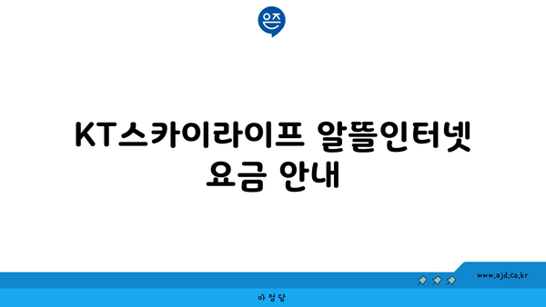 KT스카이라이프 알뜰인터넷 요금 안내