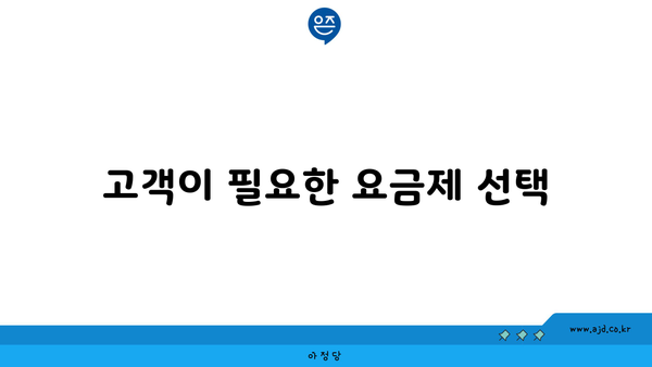 고객이 필요한 요금제 선택