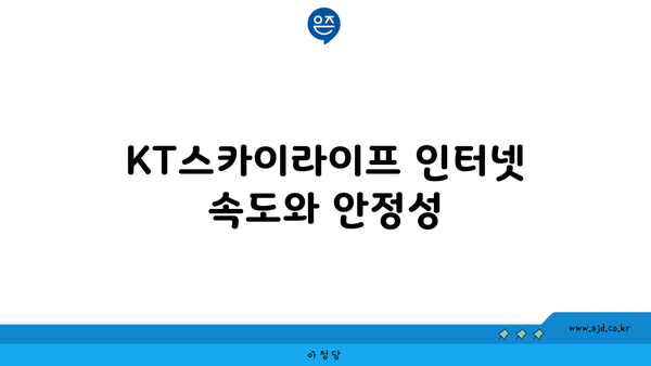 KT스카이라이프 인터넷 속도와 안정성