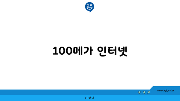 100메가 인터넷