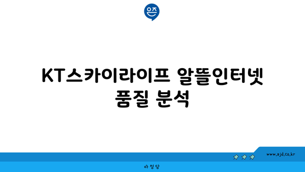 KT스카이라이프 알뜰인터넷 품질 분석