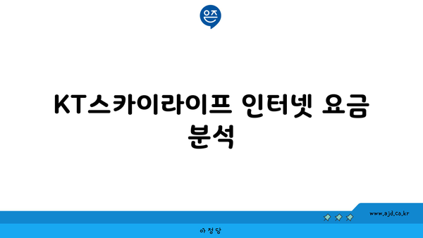 KT스카이라이프 인터넷 요금 분석