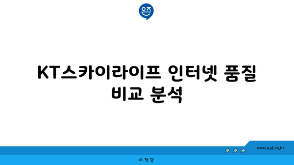 KT스카이라이프 인터넷 품질 비교 분석