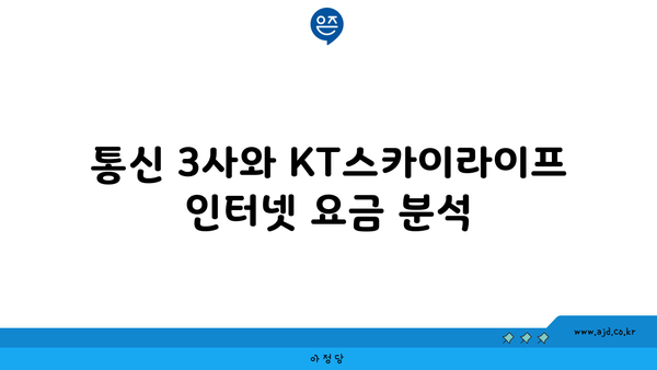 통신 3사와 KT스카이라이프 인터넷 요금 분석