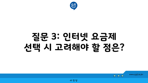 질문 3: 인터넷 요금제 선택 시 고려해야 할 점은?