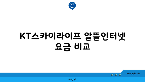 KT스카이라이프 알뜰인터넷 요금 비교