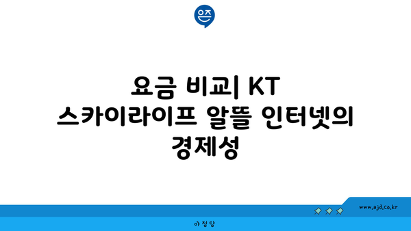 요금 비교| KT 스카이라이프 알뜰 인터넷의 경제성