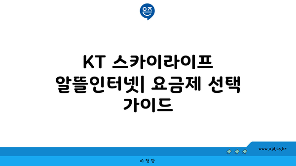 KT 스카이라이프 알뜰인터넷| 요금제 선택 가이드