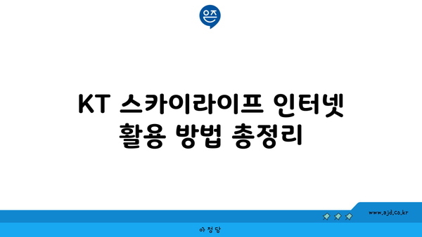 KT 스카이라이프 인터넷 활용 방법 총정리