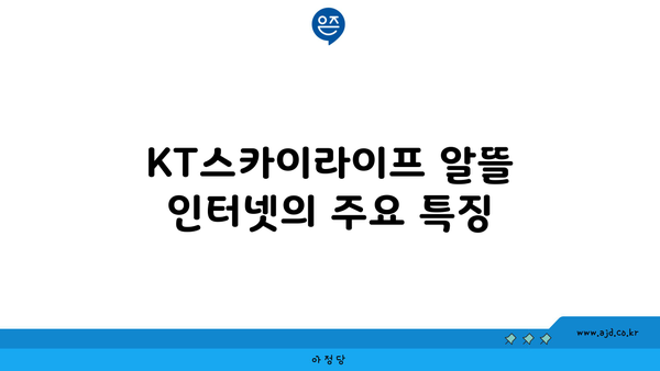 KT스카이라이프 알뜰 인터넷의 주요 특징