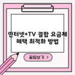 인터넷+TV 결합 요금제 혜택 최적화 방법