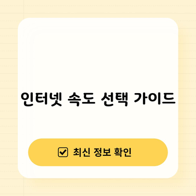 인터넷 속도 선택 가이드