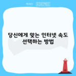 당신에게 맞는 인터넷 속도 선택하는 방법