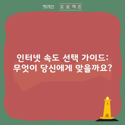 인터넷 속도 선택 가이드: 무엇이 당신에게 맞을까요?