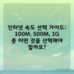 인터넷 속도 선택 가이드: 100M, 500M, 1G 중 어떤 것을 선택해야 할까요?