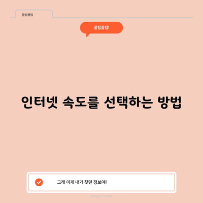 인터넷 속도를 선택하는 방법