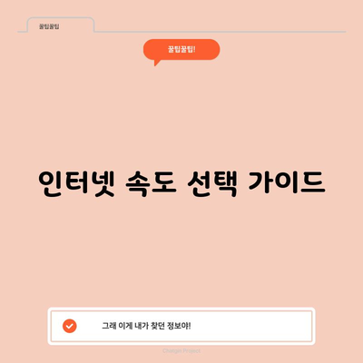 인터넷 속도 선택 가이드