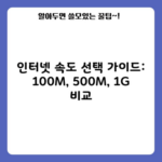 인터넷 속도 선택 가이드: 100M, 500M, 1G 비교