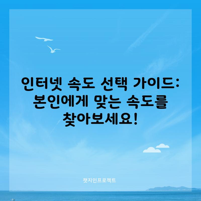 인터넷 속도 선택 가이드: 본인에게 맞는 속도를 찾아보세요!