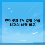 인터넷과 TV 결합 상품 최고의 혜택 비교