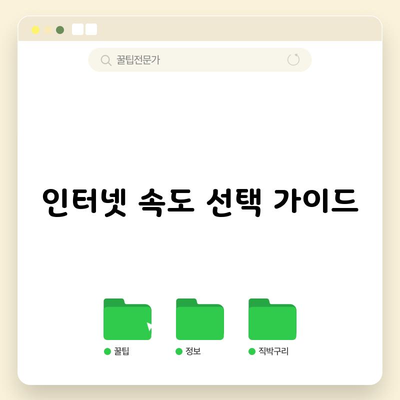 인터넷 속도 선택 가이드