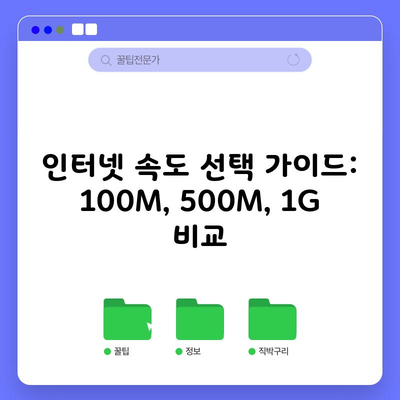 인터넷 속도 선택 가이드: 100M, 500M, 1G 비교