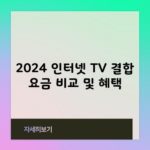 2024 인터넷 TV 결합 요금 비교 및 혜택