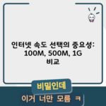 인터넷 속도 선택의 중요성: 100M, 500M, 1G 비교