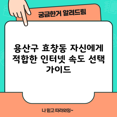 용산구 효창동 자신에게 적합한 인터넷 속도 선택 가이드