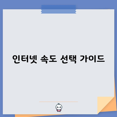 인터넷 속도 선택 가이드