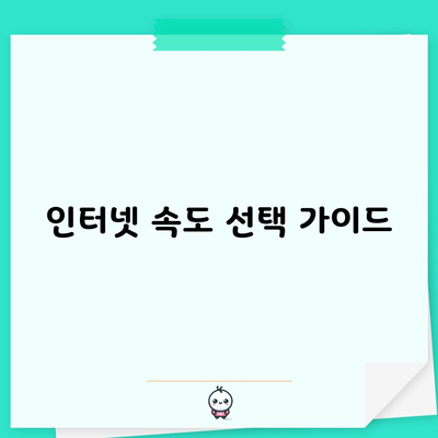 인터넷 속도 선택 가이드