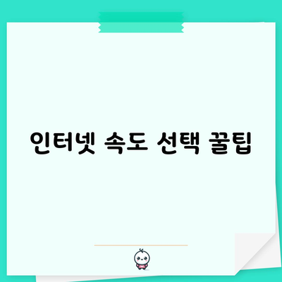 인터넷 속도 선택 꿀팁