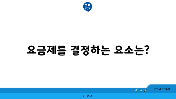 요금제를 결정하는 요소는?