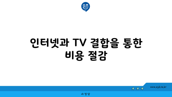 인터넷과 TV 결합을 통한 비용 절감