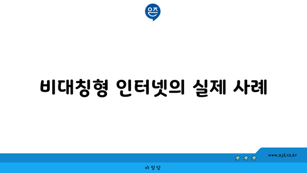 비대칭형 인터넷의 실제 사례