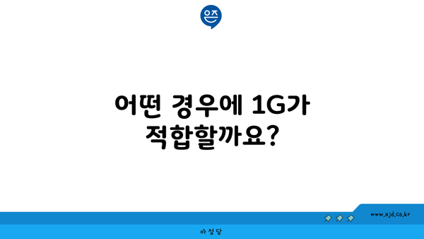 어떤 경우에 1G가 적합할까요?