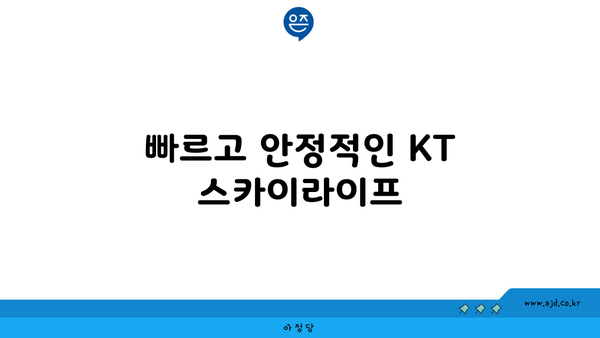 빠르고 안정적인 KT 스카이라이프