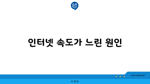 인터넷 속도가 느린 원인