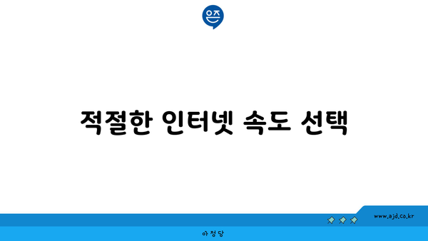 적절한 인터넷 속도 선택