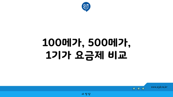 100메가, 500메가, 1기가 요금제 비교