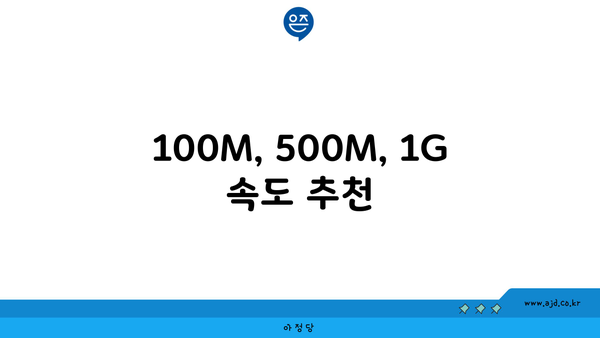 100M, 500M, 1G 속도 추천