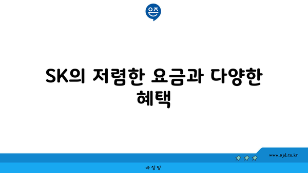 SK의 저렴한 요금과 다양한 혜택